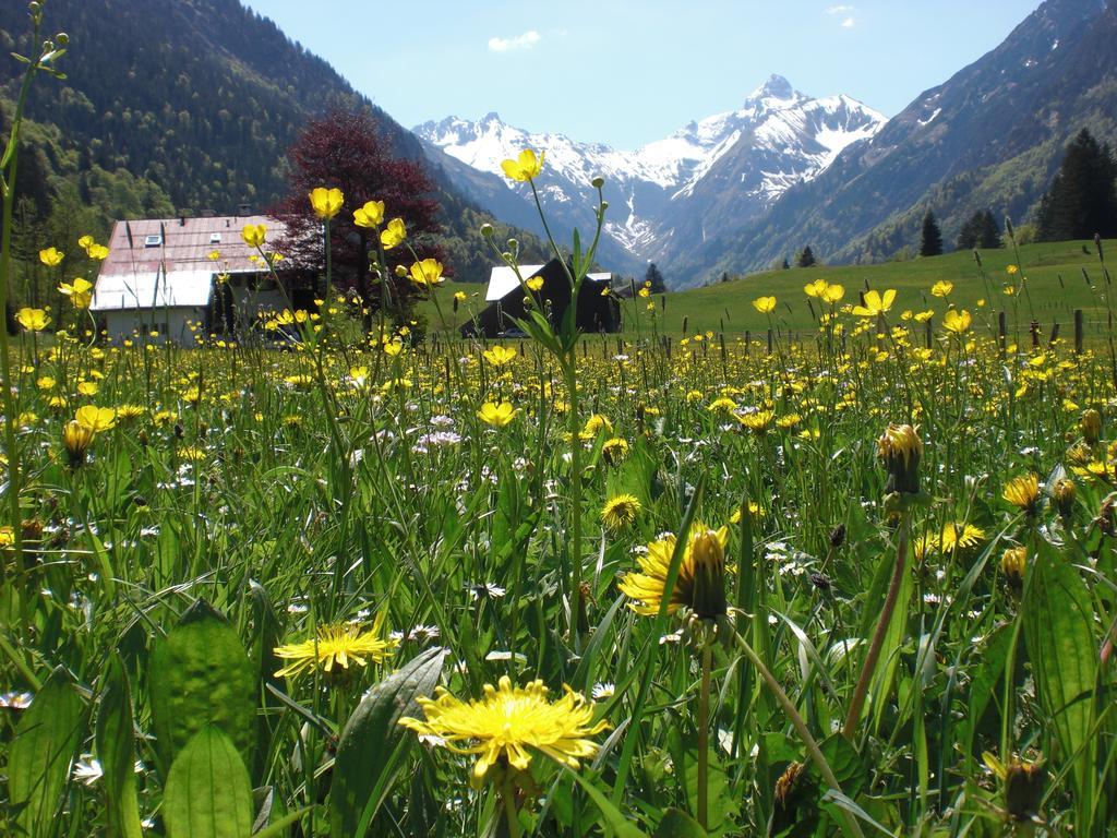 Haus Stein Apartman Oberstdorf Kültér fotó